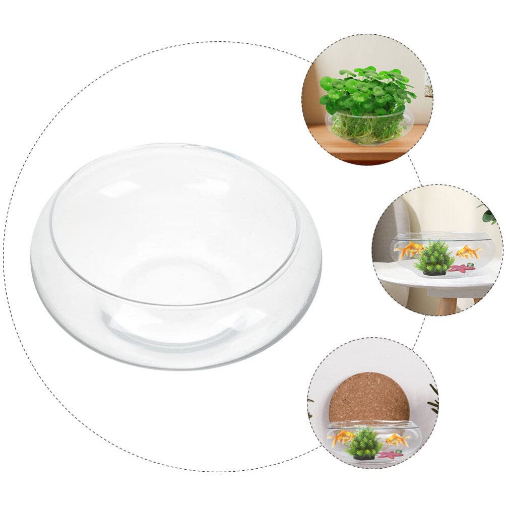 Glass Bubble Bowl - Wide Mouth Flower Vase Clear Bubble Planter Terrarium Aquatic Plant Pot Shallow Fish Tank for Centerpiece Hydroponic Succulent