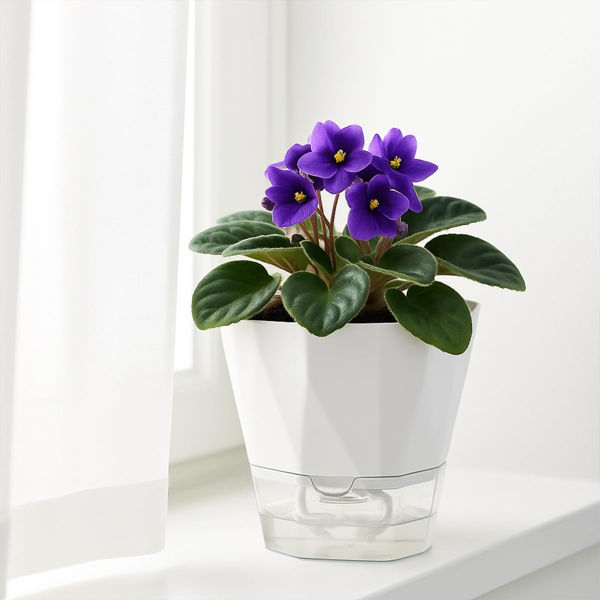 2 Pack Self Watering Pots for Indoor Plants, 8.4 Inches Self Watering Planters Large African Violet Self Watering Clear Pots for Plants Large Herb Orchid Flower Houseplant Pots, White