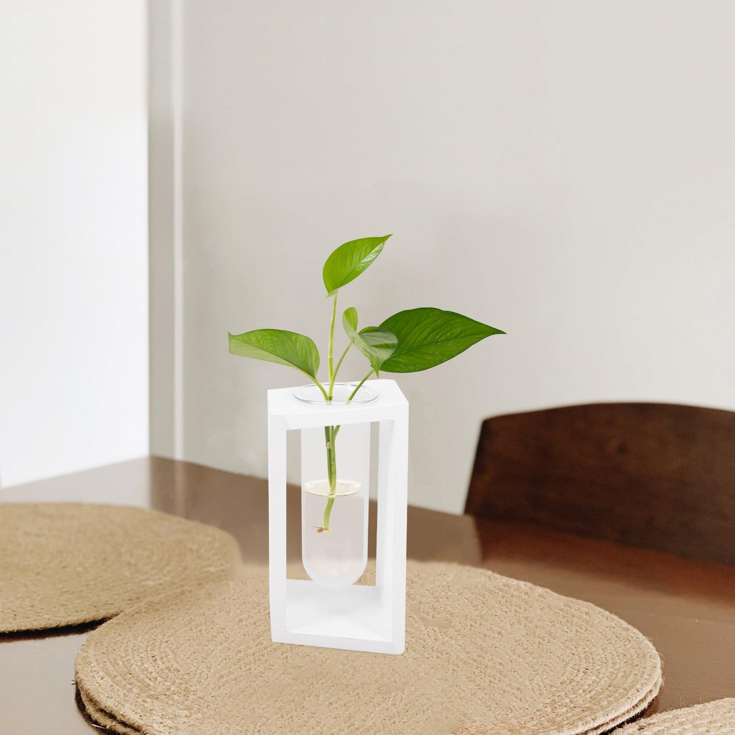Holibanna Wood Frame Test Tube Propagation Vase, Nordic Style Glass Plant Terrarium with White Stand for Hydroponic Indoor Home Décor and Green Plant Display