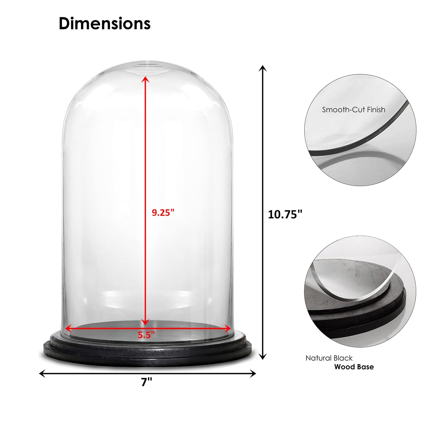 CYS EXCEL Glass Dome Cloche (H:9.25" D:5.5”) with Black Wood Base Decorative Showcase Display for Antique Collectible Bell Jar Terrarium Dessert Cover