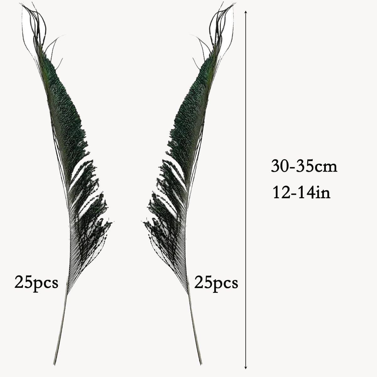 50pcs Natural Peacock Sword Feathers 12-14 Inch for Home Decor Wedding Party Vase Decoration Hat Costume DIY Crafts Floral Arrangements Christmas Tree Ornaments (25 Left & 25 Right)