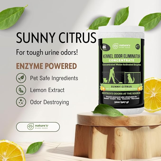 Kennel Odor Eliminator Concentrate – Enzyme Powder for Pet Odor, Urine & Poop – Safe for Carpets, Crates, and floors – Makes 86 Gallons – Sunny Citrus Scent- Industrial Pet Urine Odor Eliminator