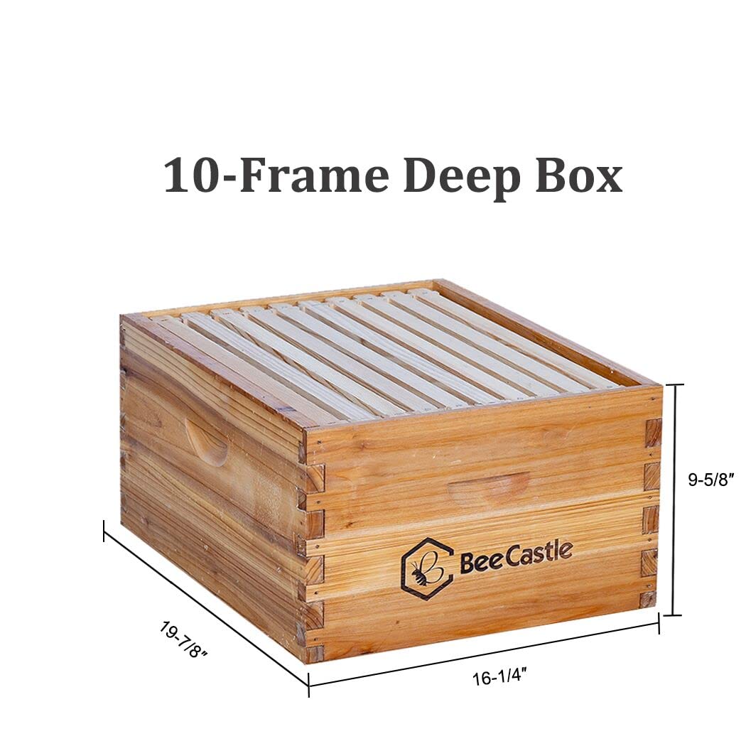 BeeCastle 10-Frames Complete Beehive Kit, 100% Beeswax Coated Bee Hive Includes Beehive Frames and Beeswax Coated Foundation Sheet (2 Layer)