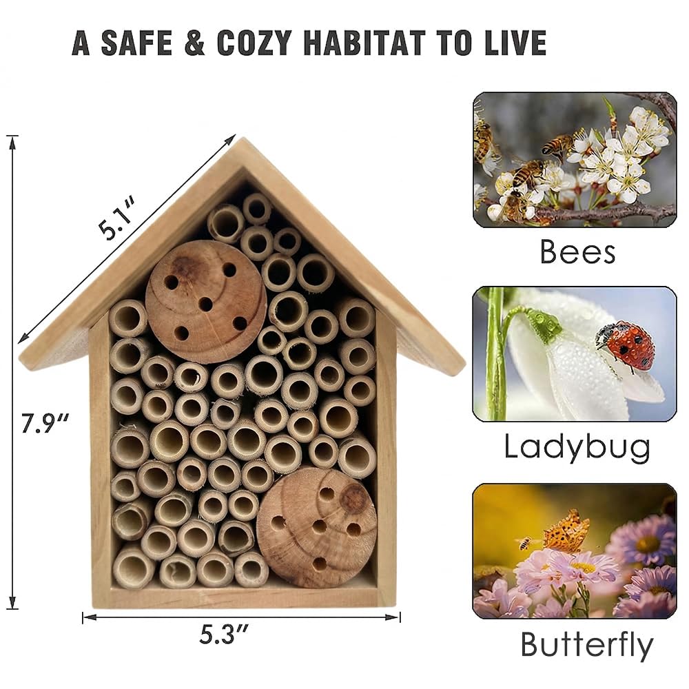 EGREE Mason Bee Houses Outdoor Wooden Bee Hotel for Garden and Yard Hand-Made Bamboo Bee Hive for Bees Butterflies and Ladybugs, Medium Size 8"x7.5"x5", Natural Finish