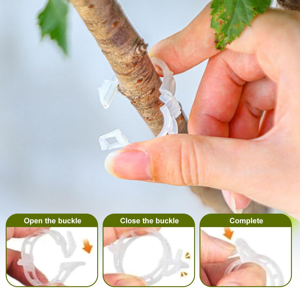 Plant Support Clips, Garden Clips for Climbing Plants, Tomato Clips Plastic Plant Clips, Plant Clips for Support Grape Tomato Vegetables Plants to Grow Upright Makes Plants Healthier (200, Green)