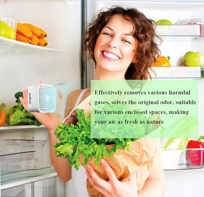 Refrigerator Deodorizer, Fridge Deodorizer Odor Eliminator 99% with10 Years Lifetime, Catalyst Air Purifier for Fridge & Freezer, Room, RV, Car, Closet, Shoe Cabinets and more (2PCS)