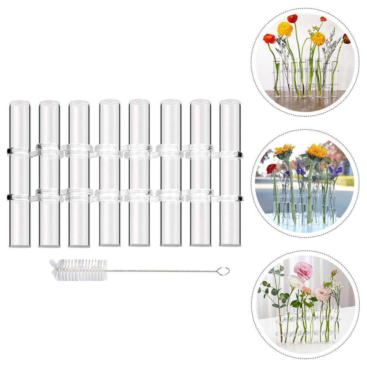 VALICLUD 8pcs Large Glass Test Tube Vases with Brush for Hydroponic Propagation, Indoor Plant Terrarium Kit, Desktop Glass Desk Vase Set for Home Décor and Water Plant Display