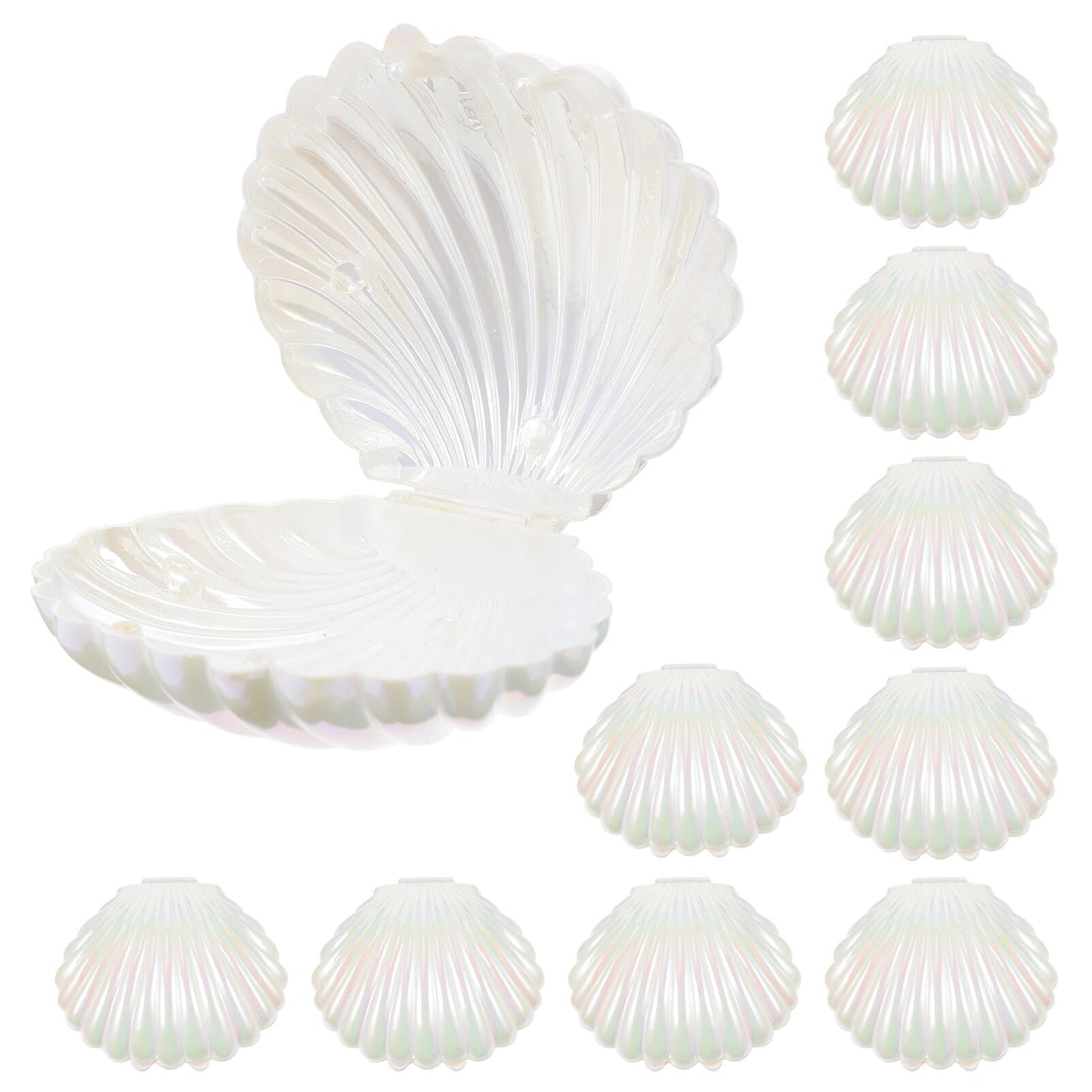 Gadpiparty 10pcs Sea Shell Party Favors, Shell Jewelry Box, for Birthday Decorations and Under the Sea Theme Party Ocean Beach Goodie Treat Supplies