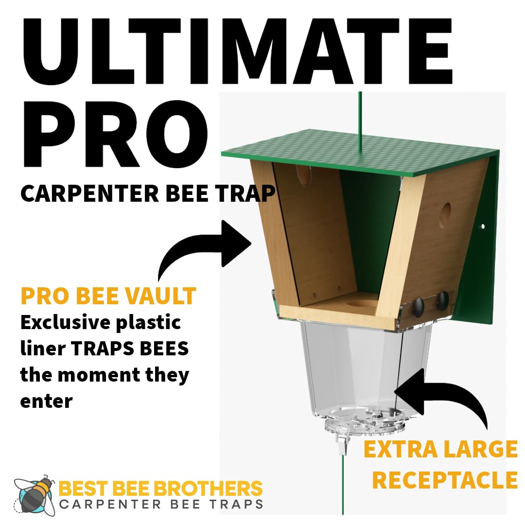 Best Bee Brothers Ultimate Pro Carpenter Bee Trap for Outside with Extra-Large, Clear External Receptacle, Internal Bee Vault & Spring-Loaded Door, 4.2” D x 5.8” W x 7.5” H (2 Pack)