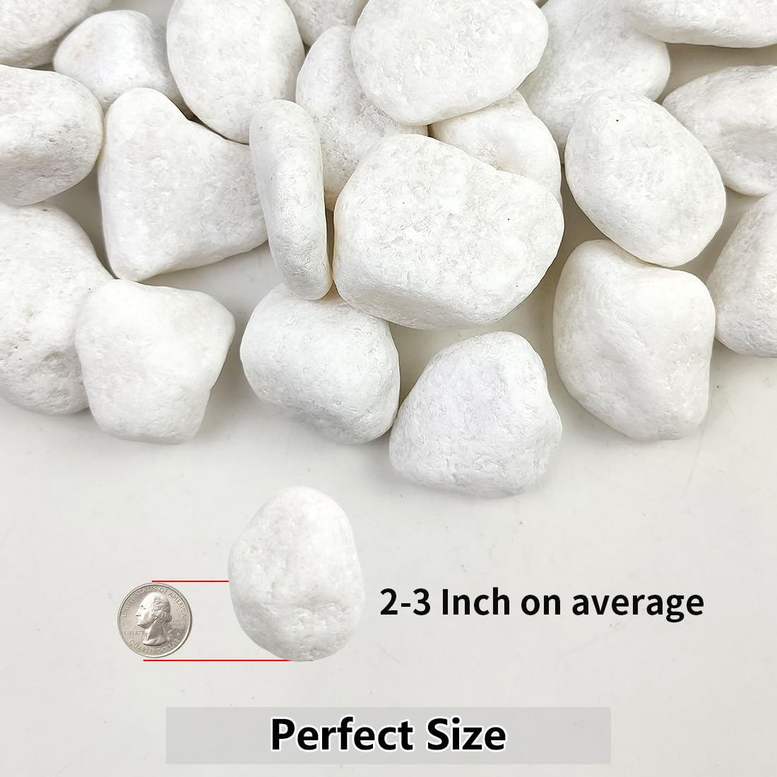 YISZM 5lb White Pebbles for Indoor Plants, 2-3 Inch Natural River Rocks, Snow White Decorative Stones, Ideal for Fish Tank, Vases, Crafting, Home Decor and Garden Landscaping Rocks