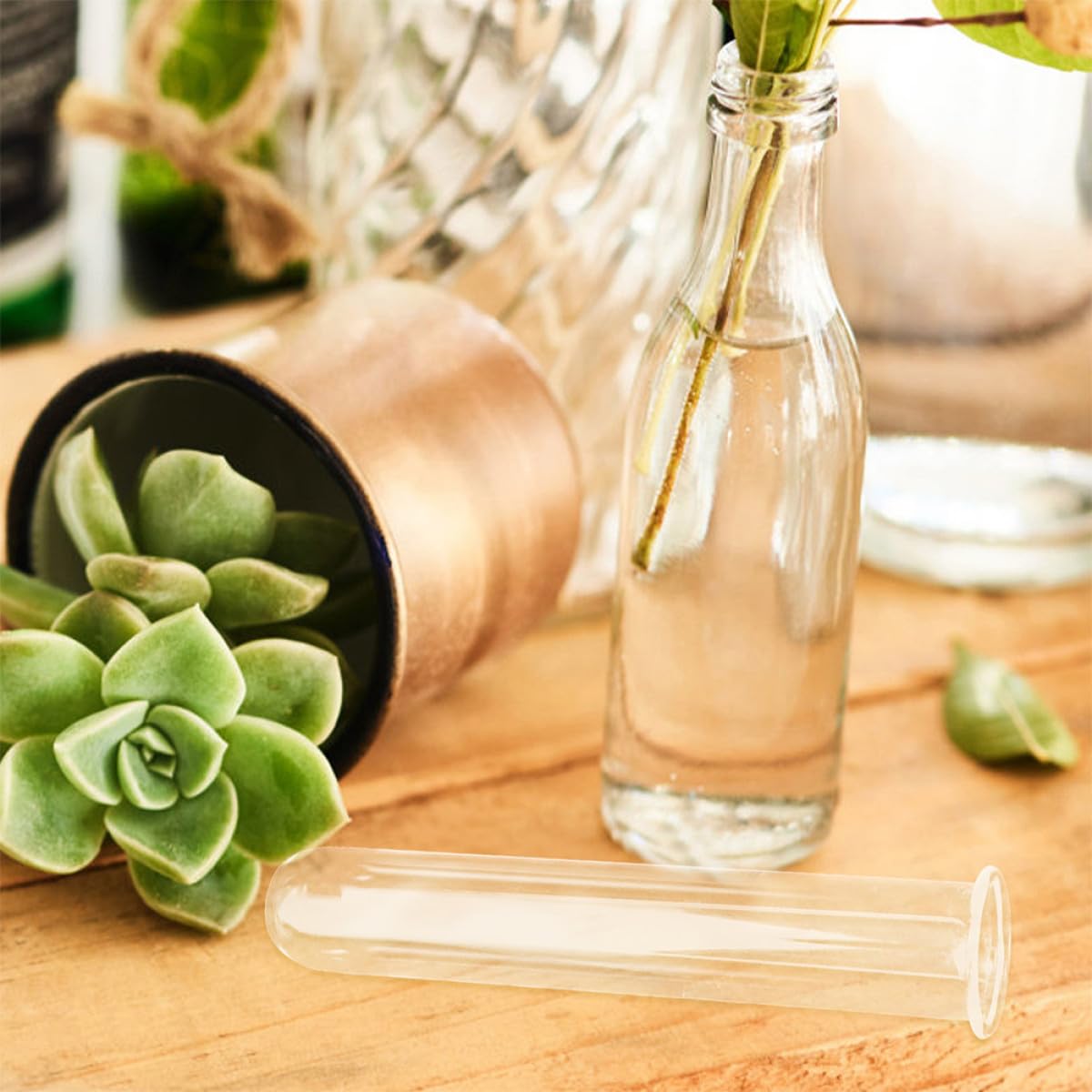 HEANUJJ 4pcs Glass Hydroponic Flower Tubes Test Tube Vase 2.5x3x18cm Propagating for Plants Desktop Propagation Station Terrarium Plant Decor