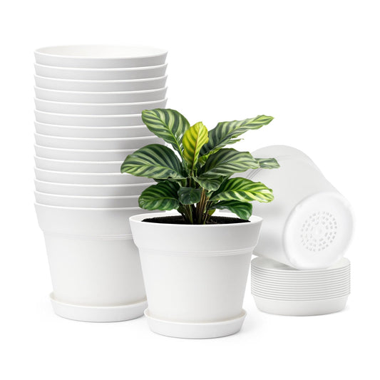 VEVOR Plastic Plant Pots, 16 Packs 6 in Durable Planters, Lightweight Nursery Pots with Drainage Holes & Detachable Saucers, Round Tapered Flower Pot for Indoor & Outdoor Plants, Home Garden Decor