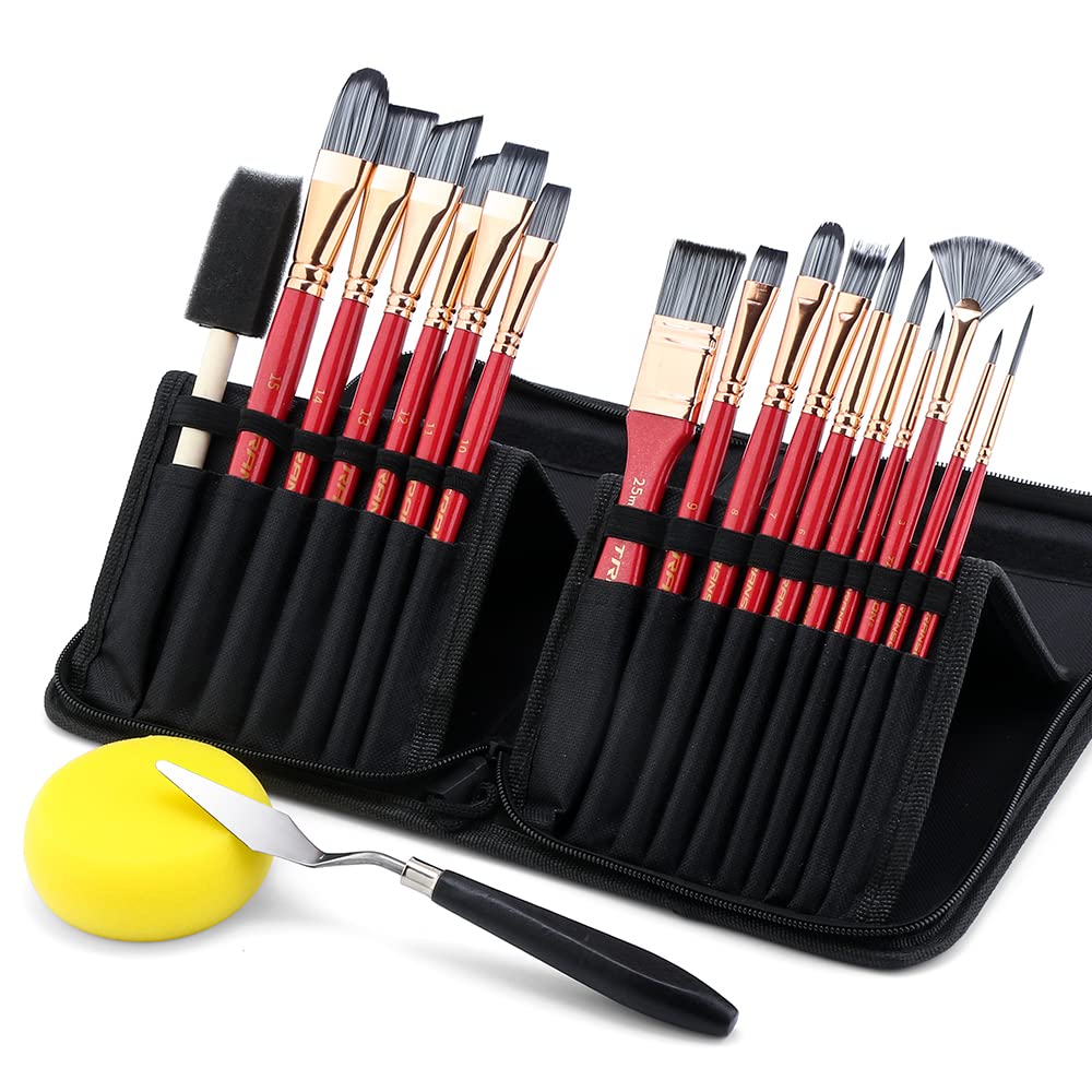 Transon 20Pcs Art Paint Brush Kit with Storage Case, 16 Brushes + Foam Brush Spatula Sponge for Acrylic Oil Watercolor Gouache, Adults Teens Beginners Art Supplies