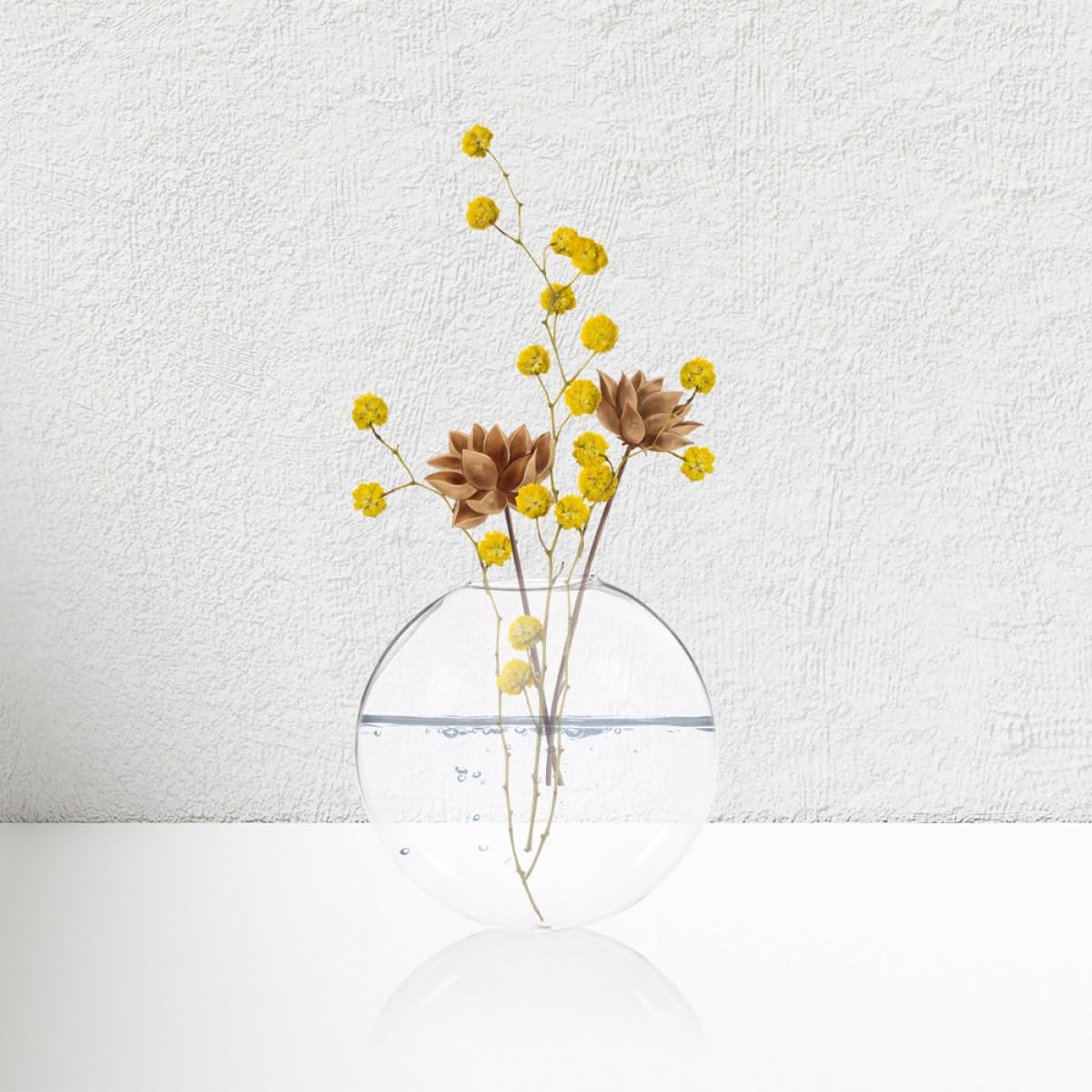 Luxshiny 6pcs Wall Hanging Glass Planter Vases for Hydroponic Plants, Flat Glass Terrariums for Home Décor and Indoor Gardening