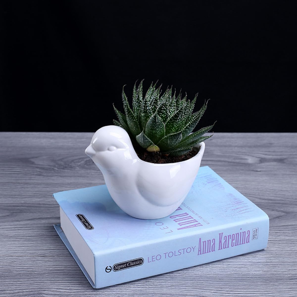 Kisangel Ceramic Bird-Shaped Flower Pot with Saucer for Succulent Plants, Small White Indoor Plant Container, Decorative Desktop Planter for Home Gardening