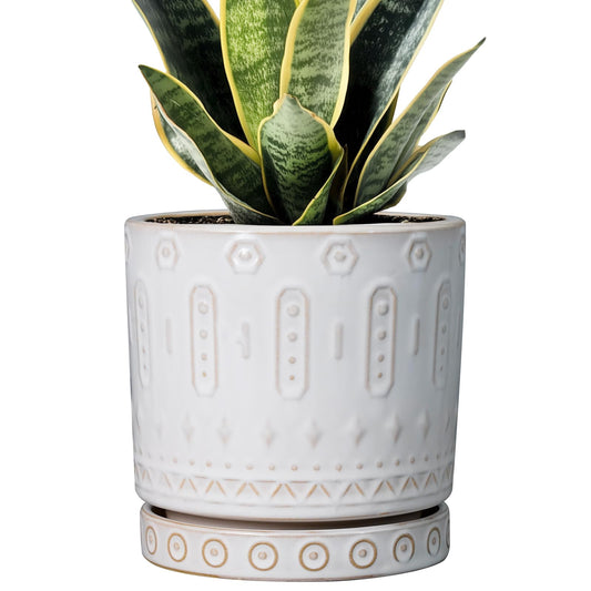 Eightpot Pot for Plants 6 Inch - Ceramic Planter for Indoor Plants Decorative Plant Pot with Drainage Holes and Saucer Outdoor Flower Pot Modern Succulent Pots for Office Desk Decor White