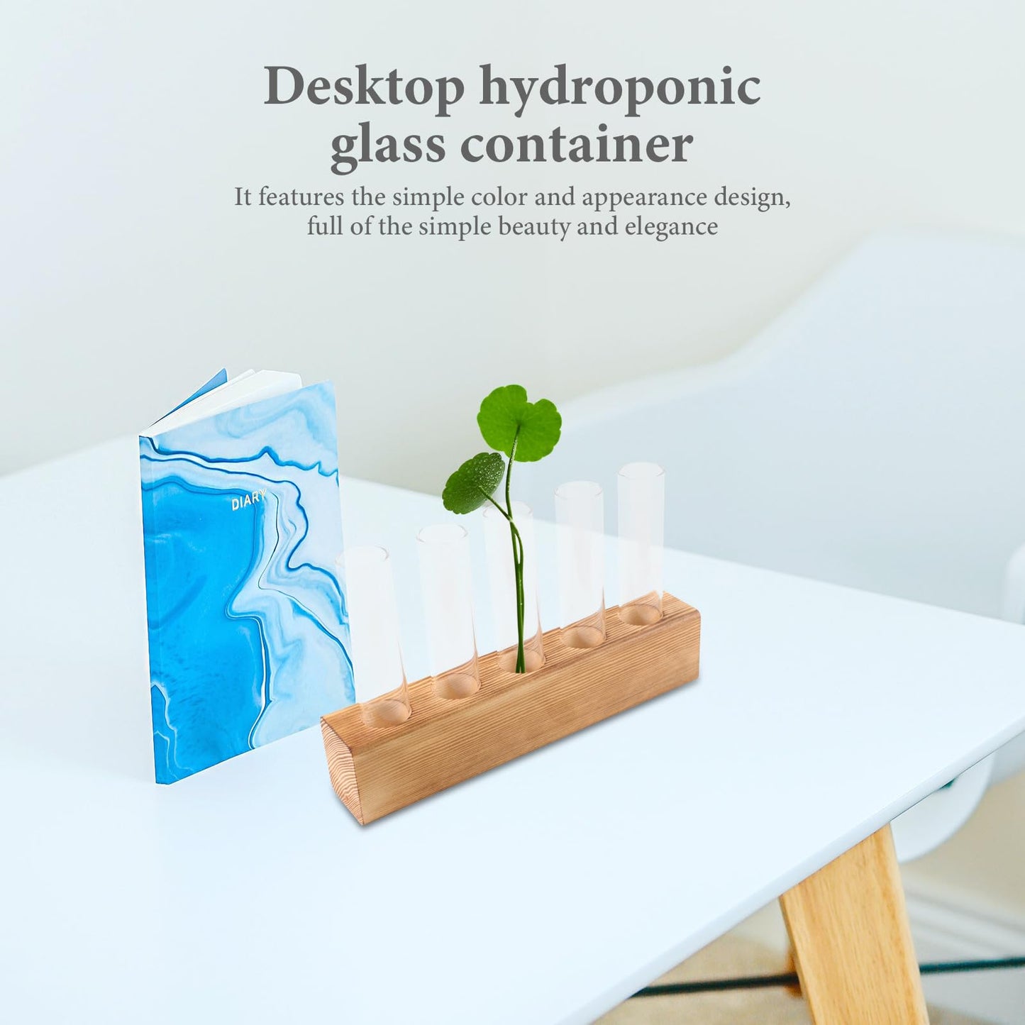 HEANUJJ Glass Planter Terrarium with 5-Hole Wooden Stand Hydroponic Vase for Indoor Plants Desktop Propagation Station Tabletop Water Planter