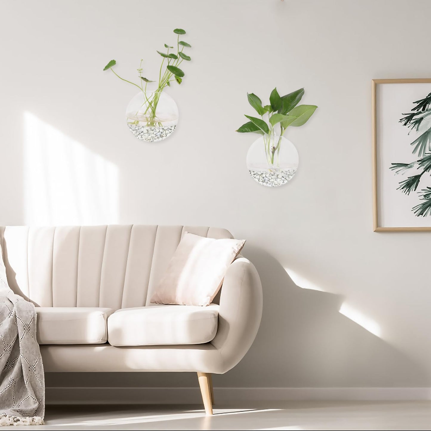 Hanging Wall Planters Pack of 6 Glass Planter Pots Round Glass Flower Vases Hanging Propagation Station Glass Plant Hanger Terrariums Wall Hanging Plant Container
