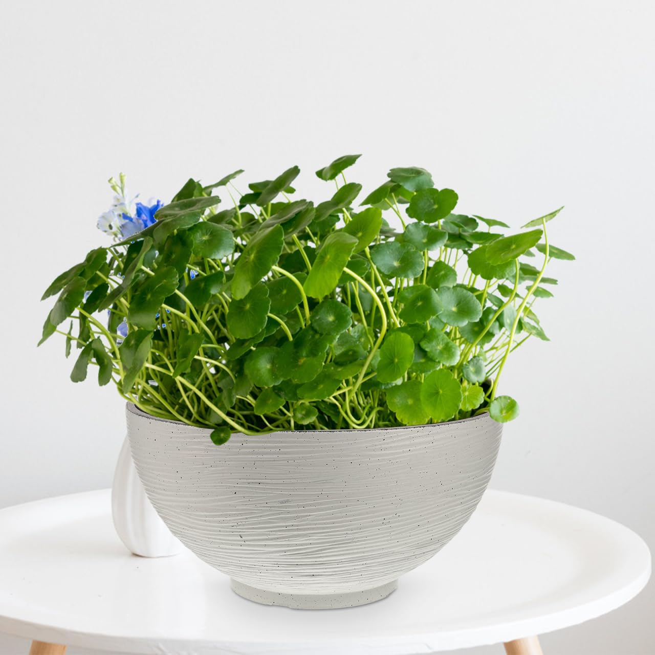 Angoily Lotus Bowl Planter, 200 Oz Large Hydroponic Planter for Water Lilies, 13.76 Inch Round Flower Succulent Cactus Bowl Flower Pot, Garden Decorative Fishbowl