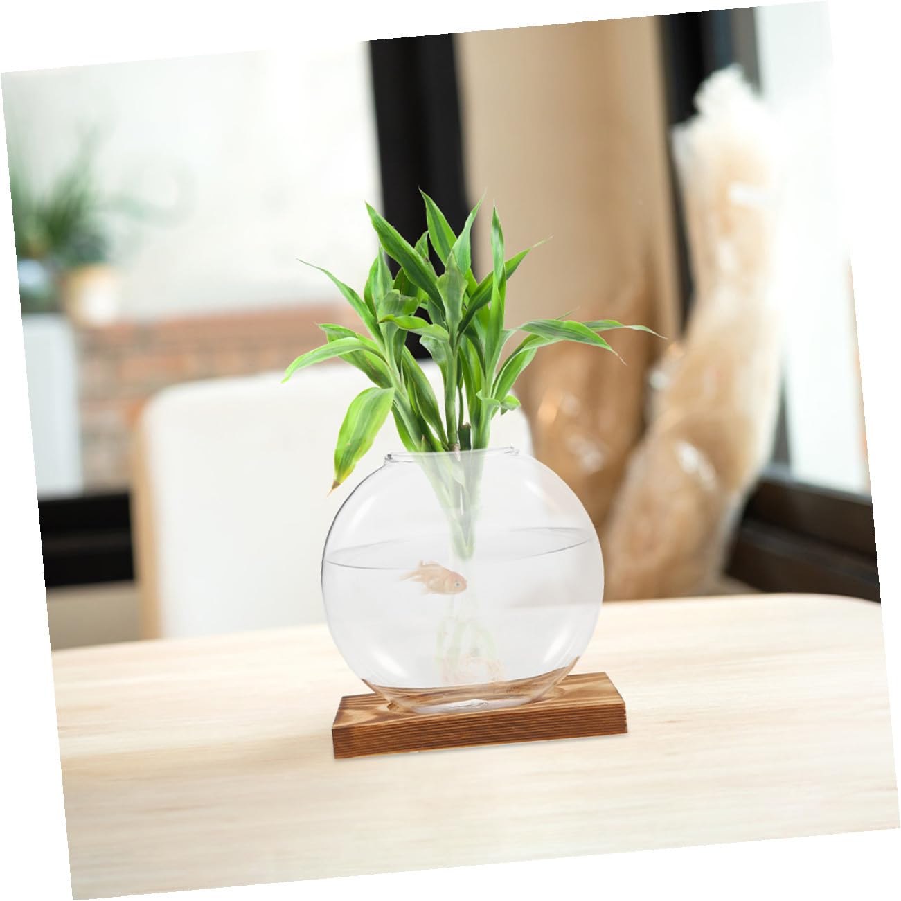 Sewroro 2pcs Hydroponic Glass Vases with Wooden Base, Propagation Stations for Indoor Plants, Terrarium Containers for Home Office Décor