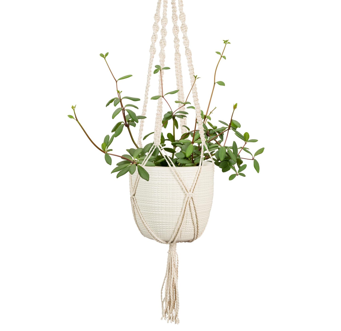 SCHEURICH Alaska Ceramic Hanging Pot – 7.1" Indoor Planter with Metal Chains - Waterproof & UV-Resistant - Stylish Modern Hanging Basket for Plants, Ferns & Succulents - Made in Germany - 0.4 gl
