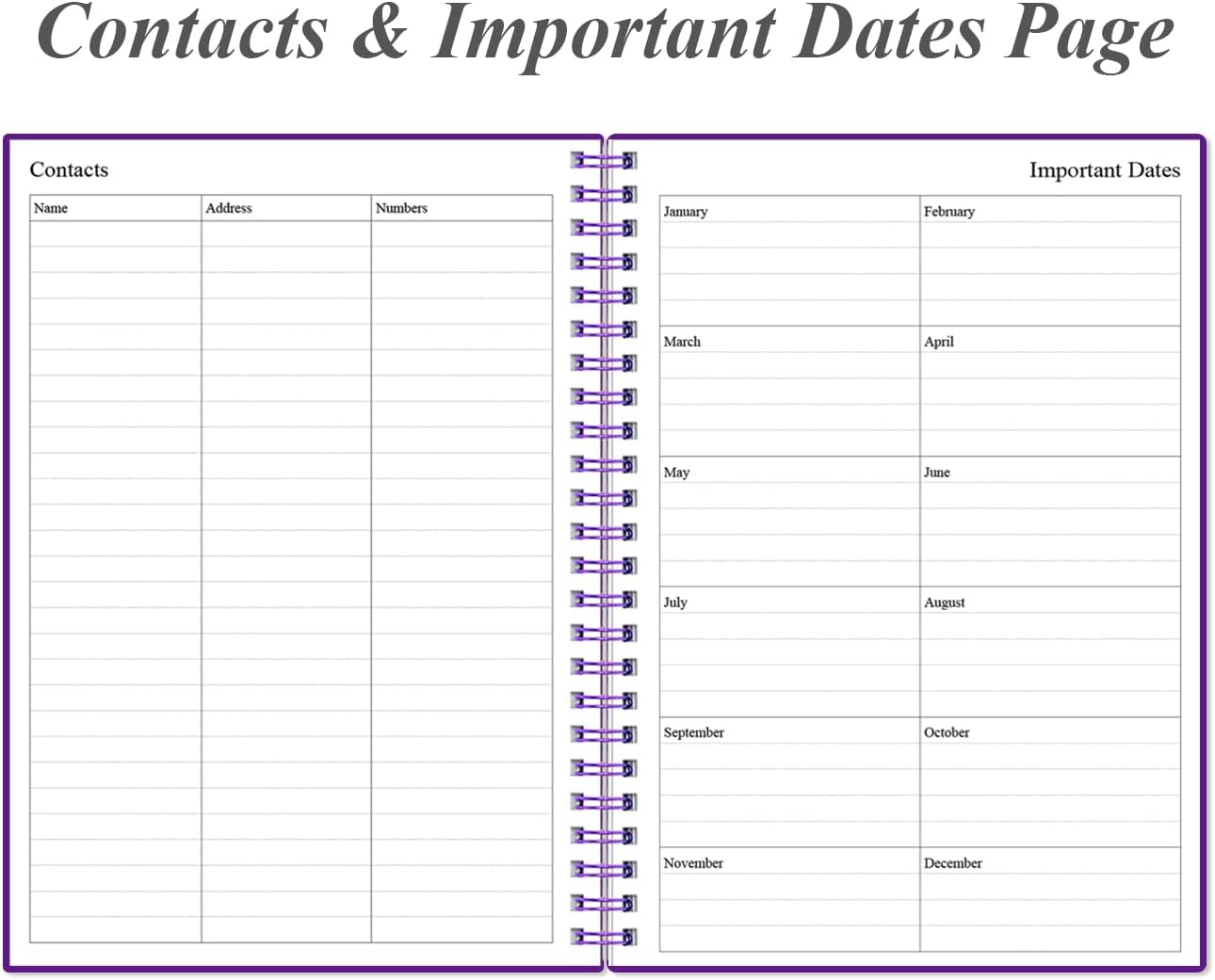 Daily Planner Undated - B5 To Do List Notebook Hourly Schedules, Spiral Appointment Planner for Women and Men, PVC Hardcover, Inner Pocket, Elastic Closure, 7" x 10", Purple