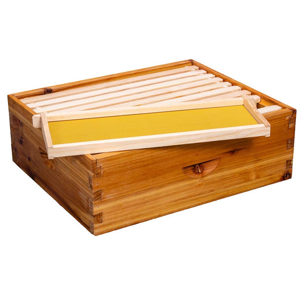 8-Frame Beehive Box Langstroth Medium Super Bee Box for Sale Wax Coated Bee Hives Includes Wooden Frames & Waxed Foundations (Unassembled)