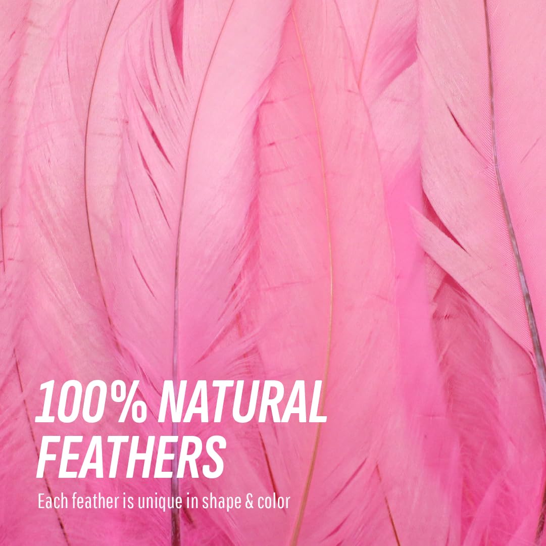 Schuman Feathers Baby Pink Coque Tail Feathers 30 Pack (10-12 Inch) – Natural Rooster Feathers for Crafts, Costumes, Decor, DIY, Halloween, Mardi Gras – Packed in USA, U.S. Quality Control