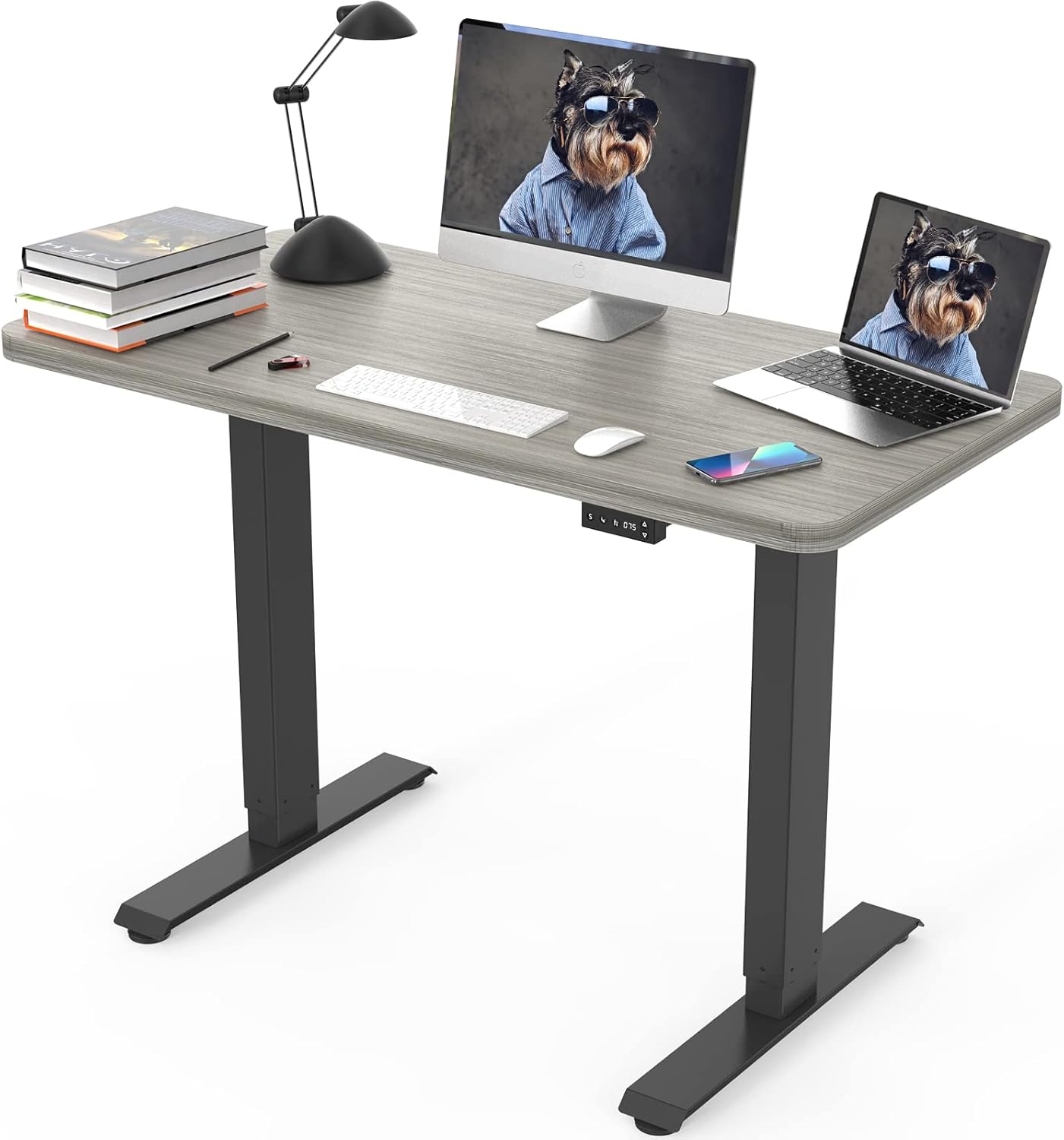 JOY worker Electric Height Adjustable Standing Desk, Grey Whole Piece 48 x 24 Inches Sit Stand Up Desk with Memory Controller, Quick Assembly Standing Workstation for Home Office