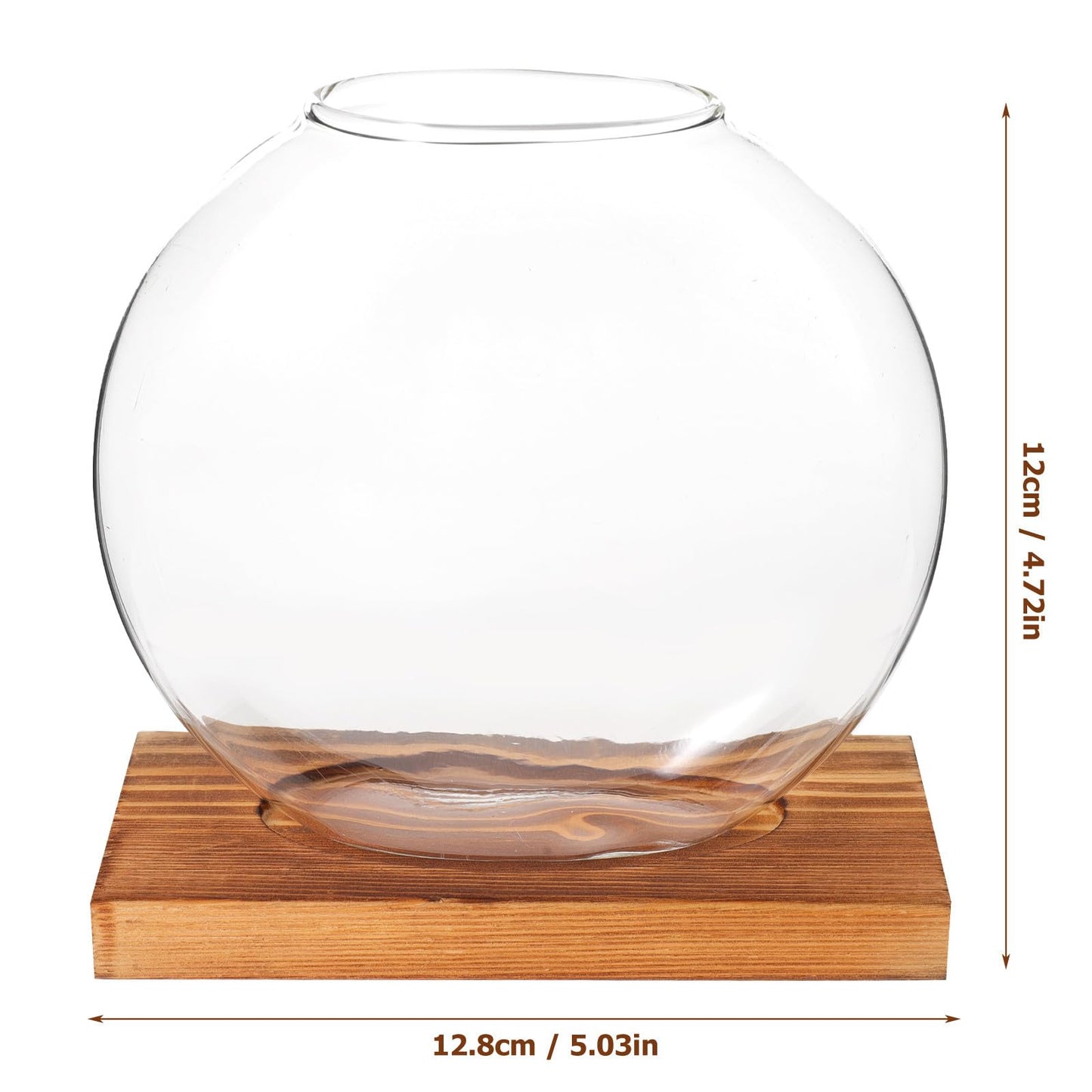 OSOLADY Glass Hydroponic Vase with Wooden Base, Plant Propagation Station for Office and Home Décor, Tabletop Glass Terrarium Hydroponics Display Ornament