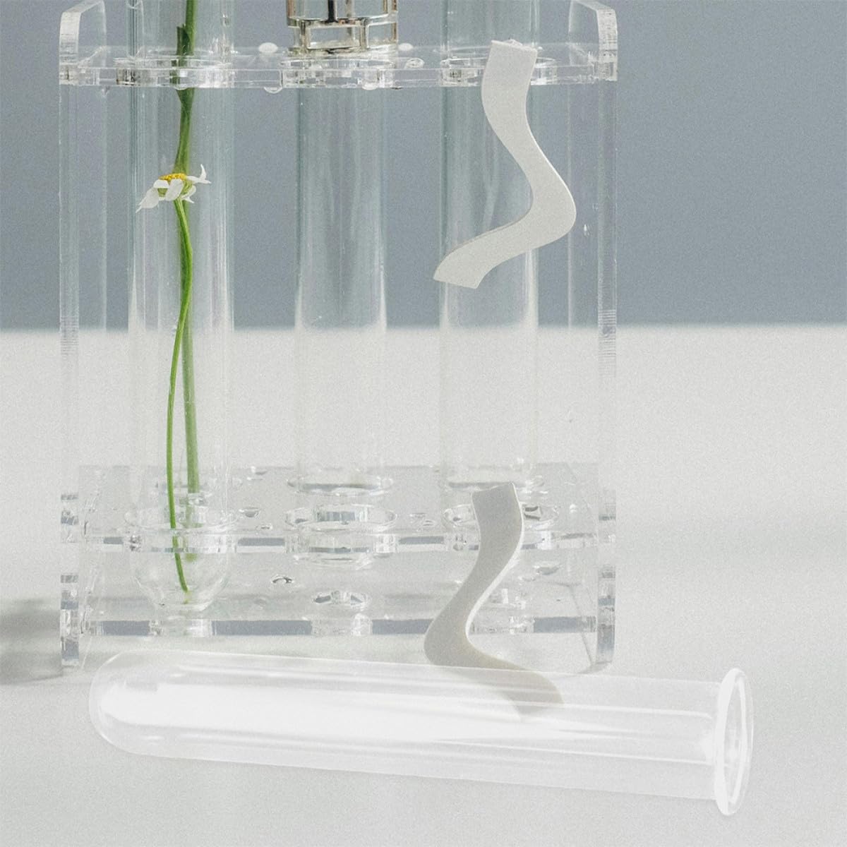 Luxshiny Glass Hydroponic Test Tube Vase Set 4pcs (2.5x3x18cm) Glass Propagation Holder for Desktop Plant Tubes and Terrarium Plant Propagation in Home Décor