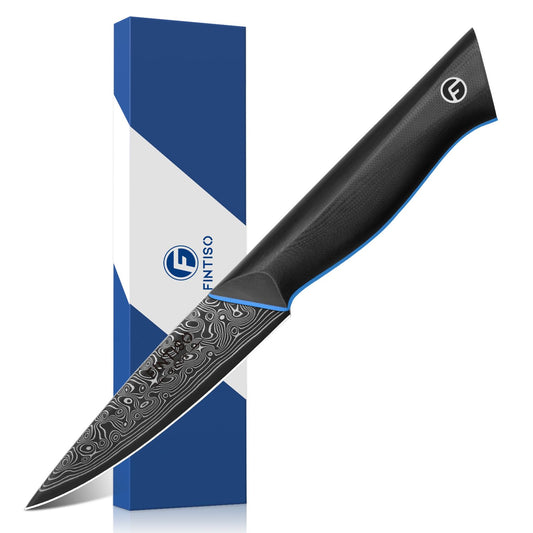 3.75 Inch Paring Knife, Fruit Knives with G10 Handle, 67-Layer Japanese Damascus Steel Forged Small Kitchen Knife, Ultra Sharp Knves with Exquisite Package