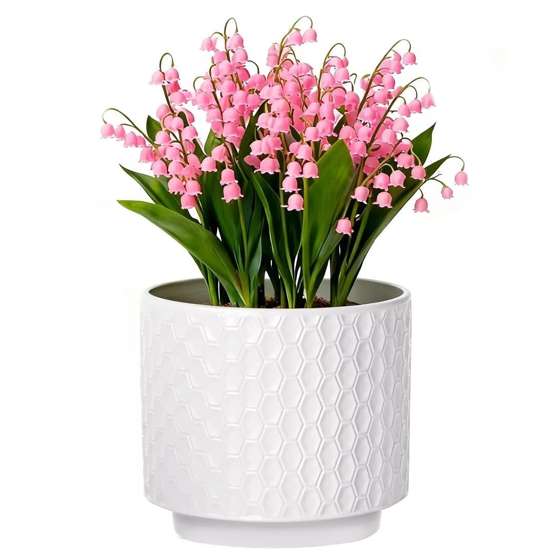 Kiolnoy 6 Inch Ceramic Pots for Indoor Plants with Drainage Hole & Floral Design, Planter for Home Decor on Windowsill, Tabletop, Office (White)