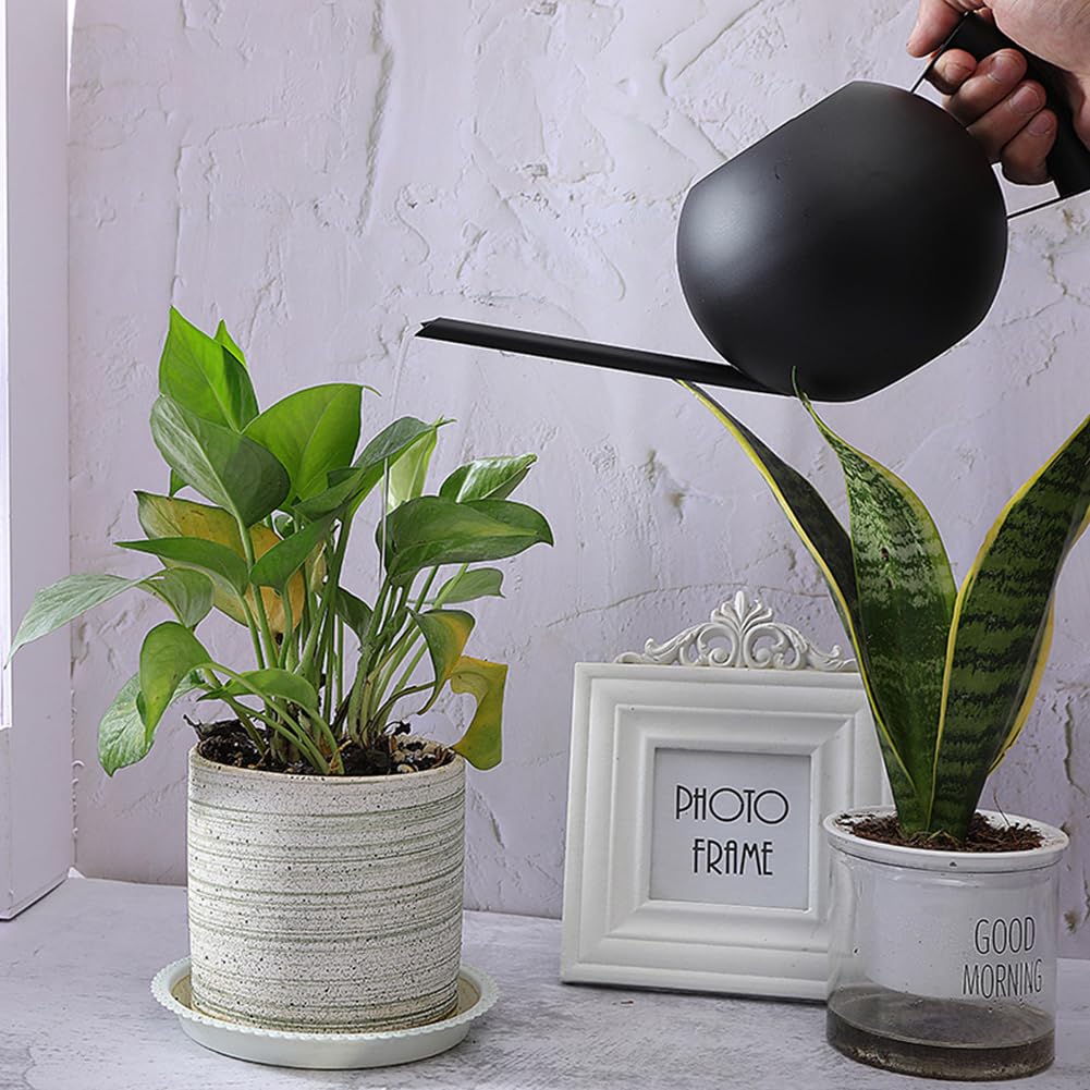 Chemlliy Watering Can with Long Spout and Comfortable Handle, 35 oz/1000ml Small Watering Can for Indoor Plants, Stainless Steel Garden Watering Pot for Indoor House Plants Bonsai Flower Decorative