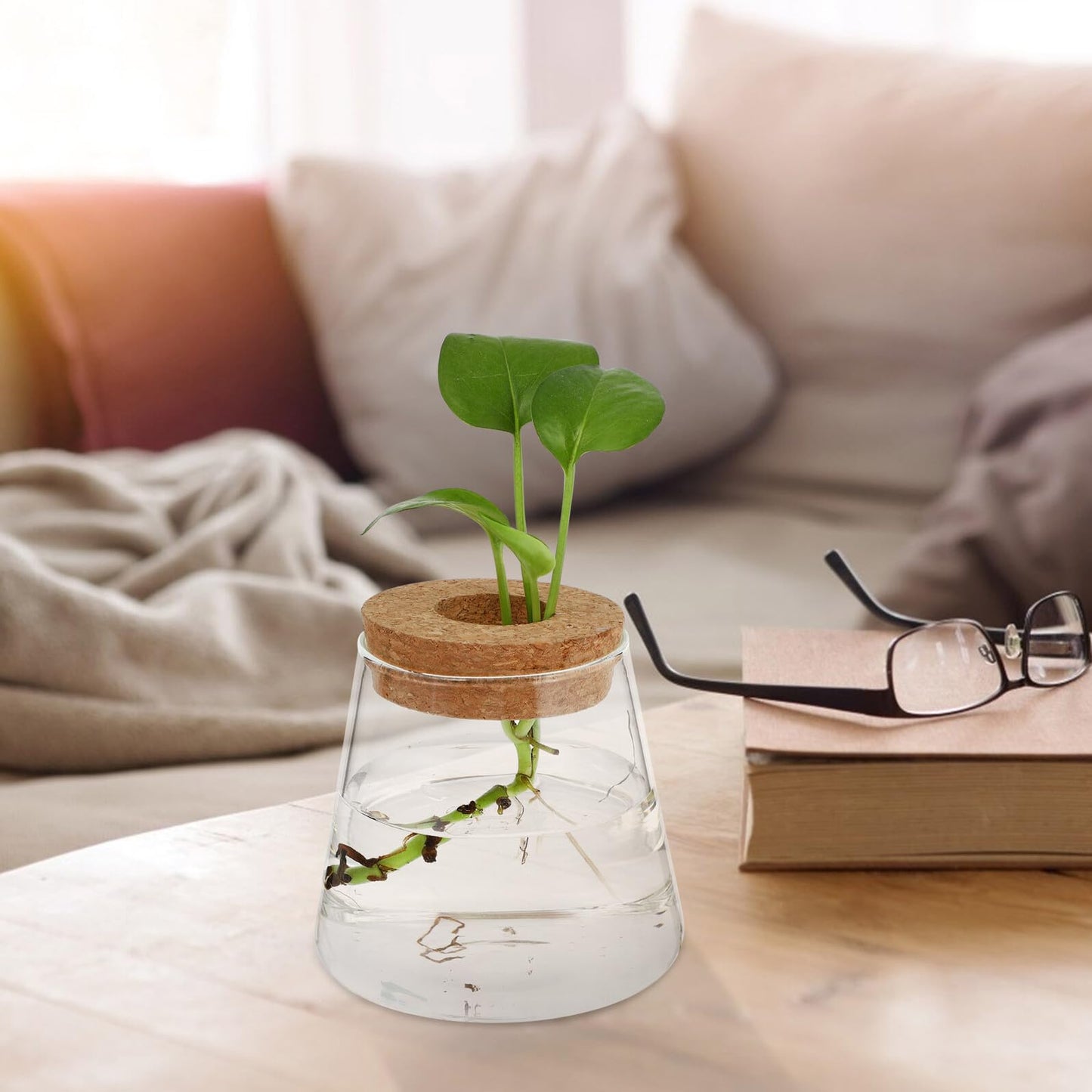 DOITOOL 2pcs Hydroponic Glass Planting Pots Small Terrarium Vase with 6.5cm Opening for Indoor Garden Decoration and Water Plant Propagation