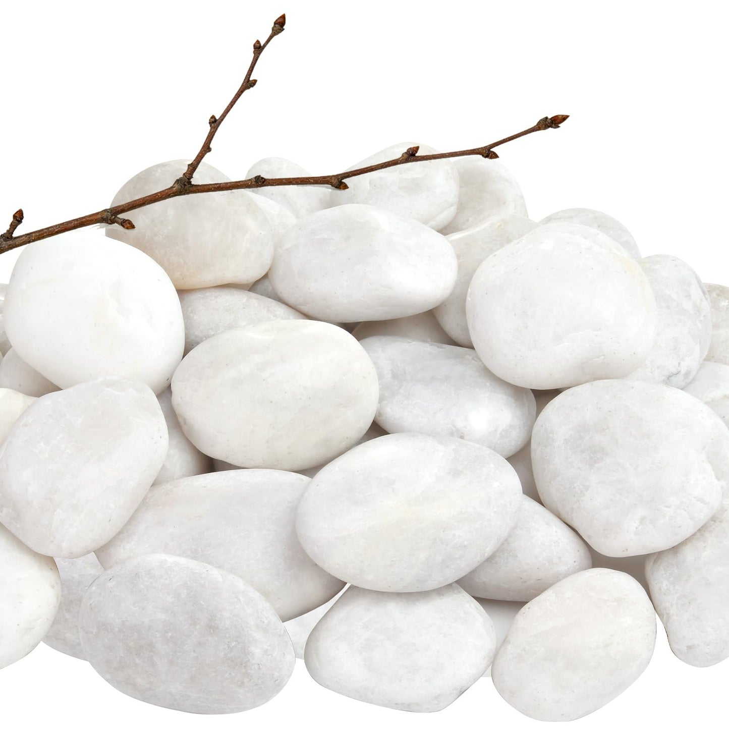 RUOJAS 5 lb Natural Polished White Pebbles, 1-2 Inch Decorative White Rocks for Potted Plants Pot Filling Aquariums Outdoor Street Scape Decorative Rocks