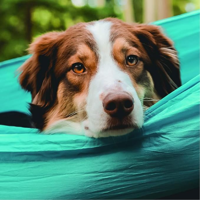 Wise Owl Outfitters Camping Hammock – 500lbs Portable Hammock with Tree Straps - Travel, Backpacking, Hiking, Outdoors Camping Gear - Single or Double