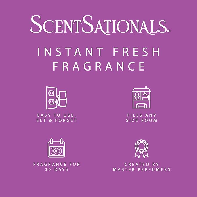 Scentsationals Fragrance Oil Plug In Air Freshener Refills 3-Pack - Sugar Plum Fairy - Works with Scentsationals Wall Plugs, Long-Lasting Home Fragrance, 0.8 fl oz Each, Packaging May Vary
