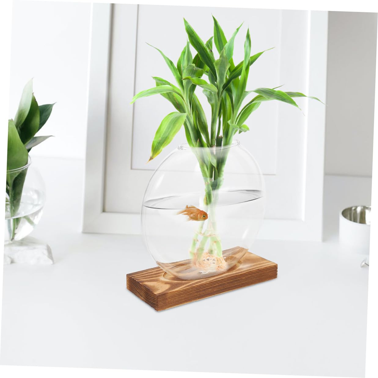 DECHOUS 2pcs Glass Plant Propagation Vases with Wooden Base, Hydroponic Terrarium Station for Indoor Plants, Glass Planter for Home Office Balcony