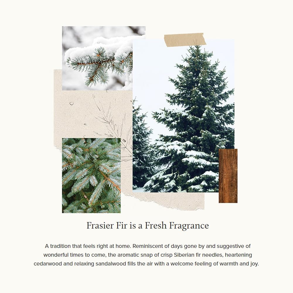 Thymes Frasier Fir Pine Needle Candle – Holiday Candles for Home Scented with Notes of Crisp Siberian Fir, Cedarwood & Sandalwood – Christmas Decor – Christmas Gifts for Women & Men (13 oz)