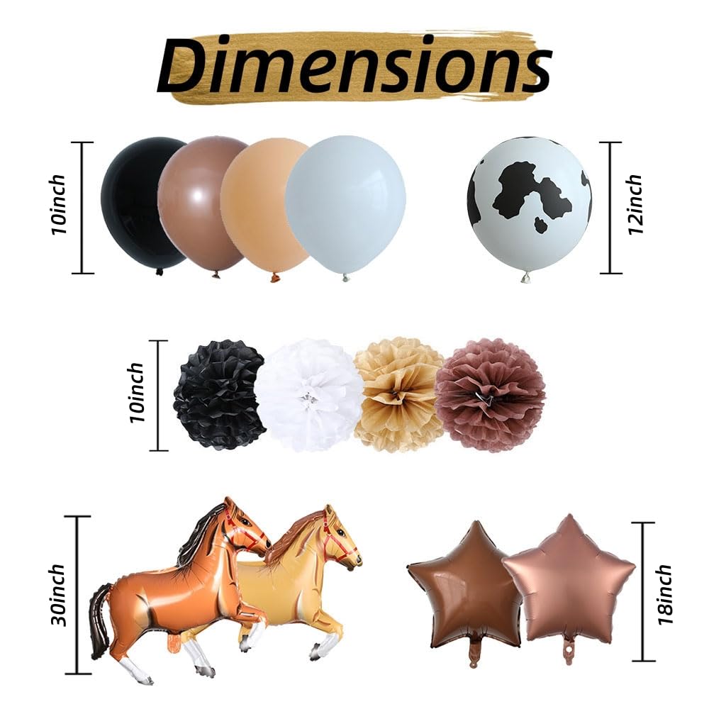 Western Cowboy Birthday Party Decoration, First Rodeo Retro Theme Party Supplies for Boys With Birthday Banner Horse Balloon Kit Star Balloons Tissue Pom Poms Cake Toppers