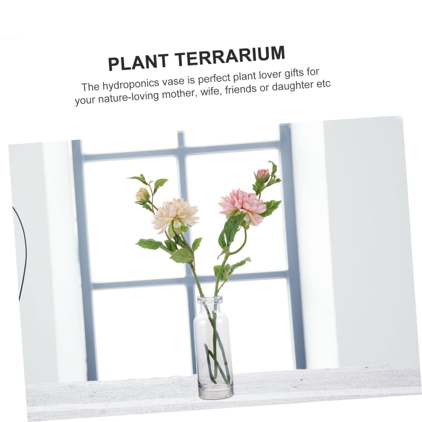 OUNONA Glass Hydroponic Plant Vase for Home Decoration Transparent Small Mouth Terrarium for Indoor Propagation and Stylish Room Accent