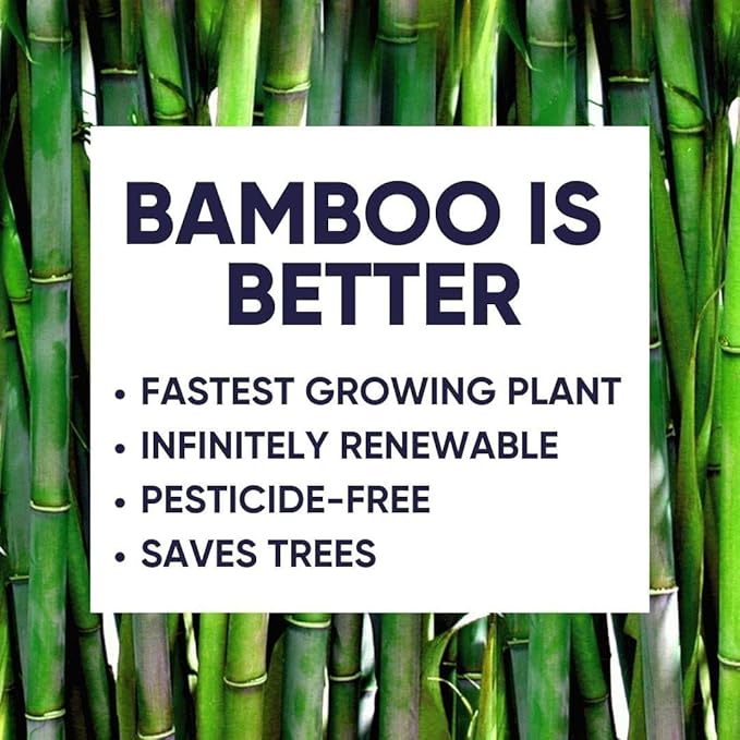 Bamboo Toilet Paper, Paper Towels, and Tissues - Compact Bundle Box for Eco-Friendly Households - 12 rolls bamboo toilet paper, 3 rolls bamboo paper towels, and 2 boxes bamboo facial tissues