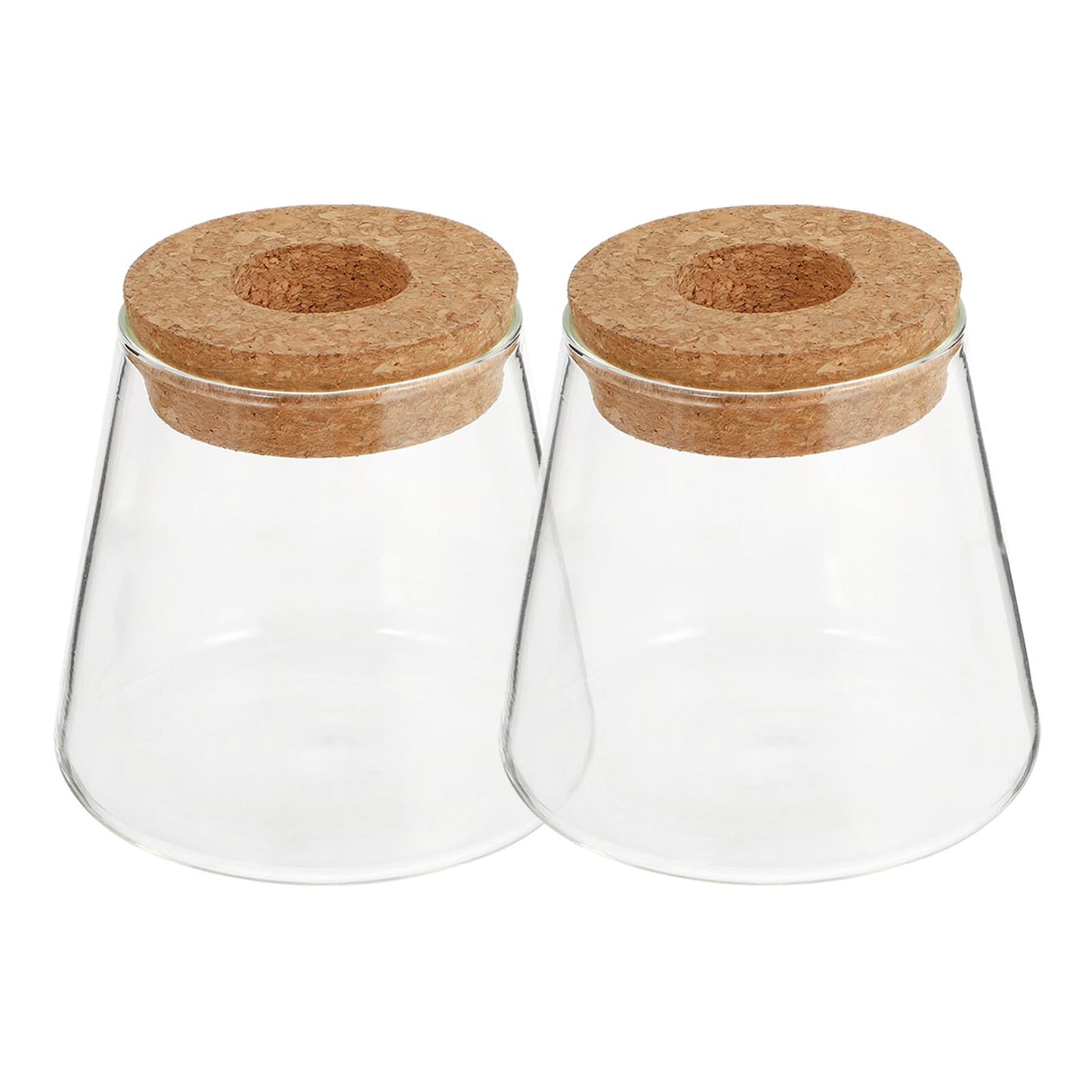 DOITOOL 2pcs Hydroponic Glass Planting Pots Small Terrarium Vase with 6.5cm Opening for Indoor Garden Decoration and Water Plant Propagation
