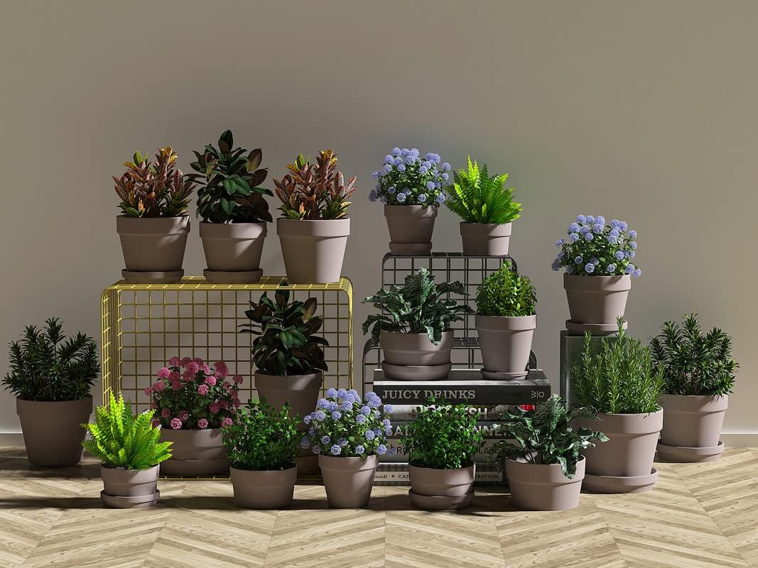 Fcacti 6 Inch Grey Clay Pot for Plant with Saucer - 6 Pack Large Terra Cotta Plant Pot with Drainage Hole, Flower Pot with Tray, Terracotta Pot for Indoor Outdoor Plant