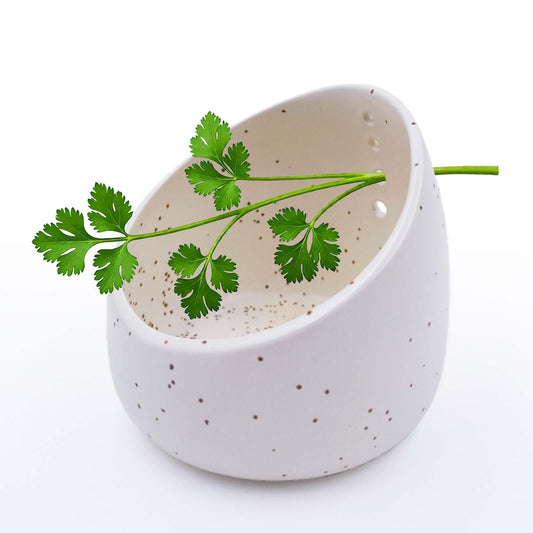 MGMGART White Ceramic Herb Stripping Bowl with Four Multi-Sized Holes -Efficient Kitchen Tool for Parsley, Basil, Rosemary, Mint, Thyme, Cilantro, Oregano - Handmade Pottery Gadget