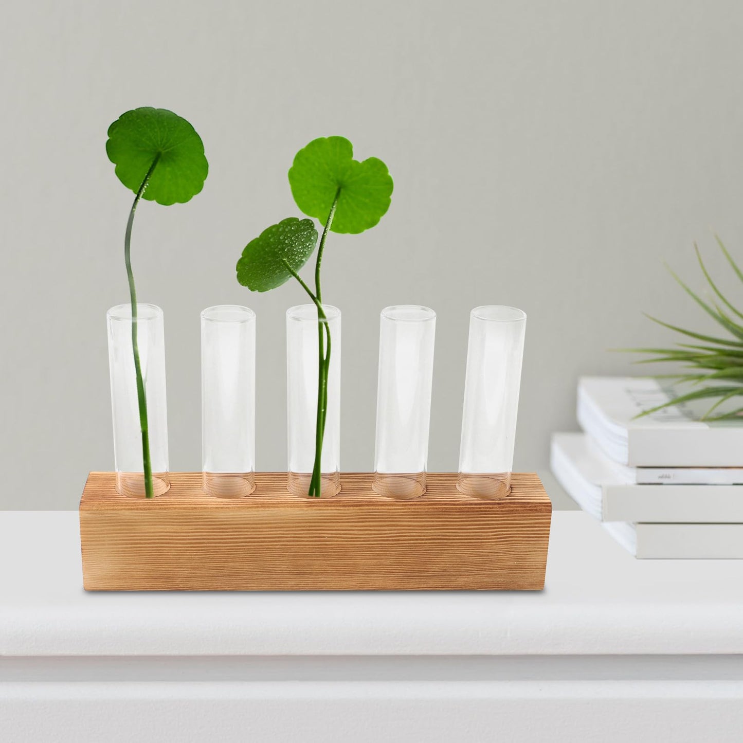 Holibanna Hydroponic Plant Terrarium Glass Vase with 5-Hole Wooden Stand, Indoor Desktop Propagation Station for Plant Growth and Decorative Home Garden Display