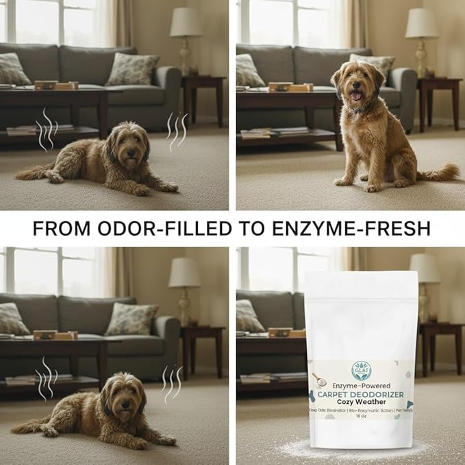 Enzyme-Powered Carpet Deodorizer (Powder) - Cozy Weather | Natural Pet Odor Eliminator | Bio-Enzymatic Formula, Premium Performance, Eco Friendly | 16 oz