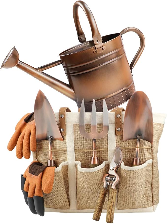1 Gallon Galvanized Steel Watering Can with 3 Pcs of Garden Tools, 1 Pc of Pruning Shear, 1 Pair of Gardening Gloves，1 Pc of Garden Tools Organizer Tote
