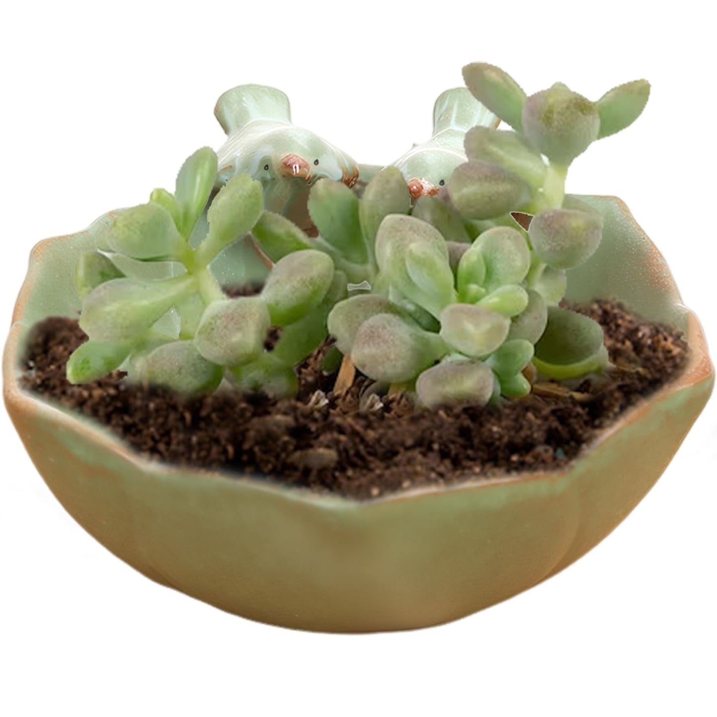 Meyrwoy Flower Pots, Suculentas Pot with 2 Adorable Birds Succulent Planter DIY Flower Planting Garden Pots Ceramic Round Hollow Planter for Home Indoor Outdoor Garden Decor